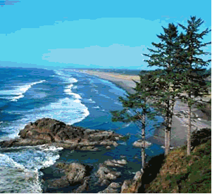 Animated GIF displays each location