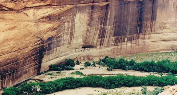 Distant cliff village in Canyon de Chelly