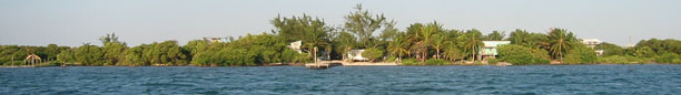 Caye Caulker from water taxi
