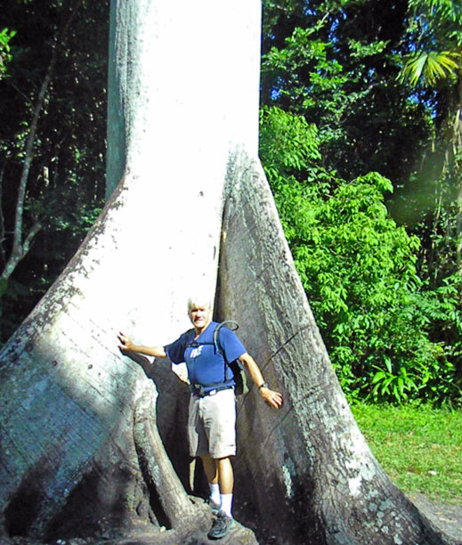 Bill at base of tree
