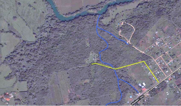 Arial view of access to Lower Dover Field Station on lower right of Lower Jungle
