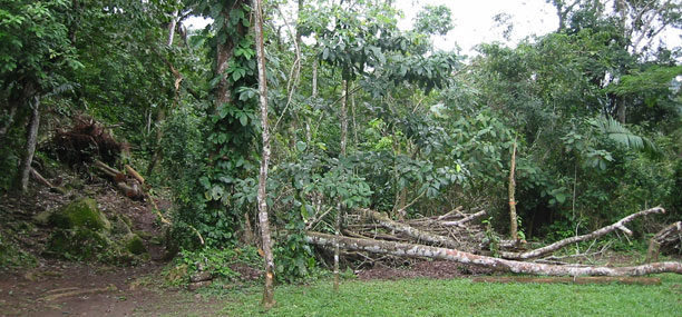 Damage from recent hurricane