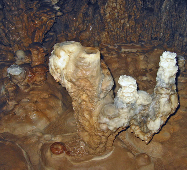 Stalagtights and mites