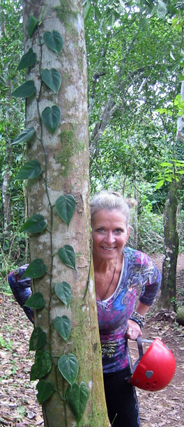 Vine on tree