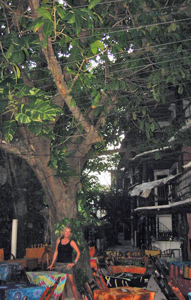 Mel with tree in bar